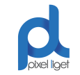 Pixel Liget